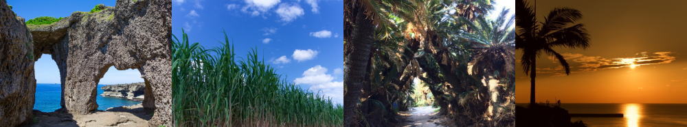 徳之島格安ドットコムの料金表ページタイトル画像